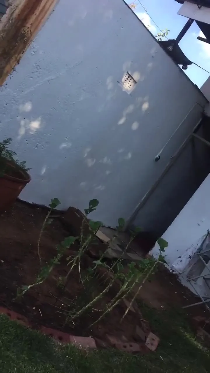 Around The Property